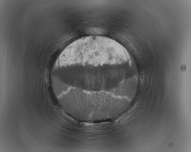 X0000097600359200803280956