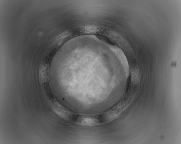 X0000097600360200803280956