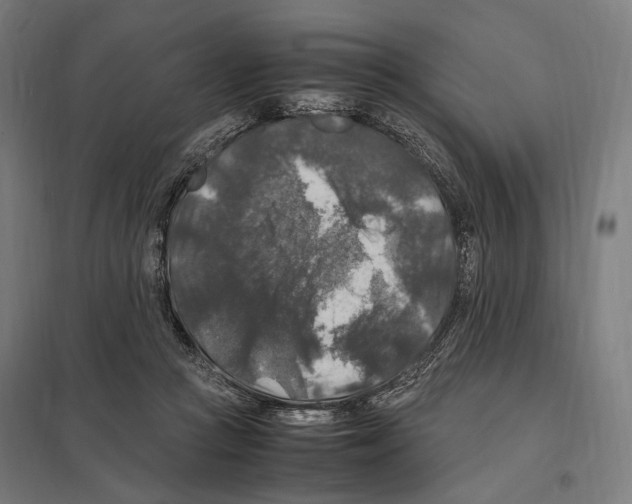 X0000097600361200803280956