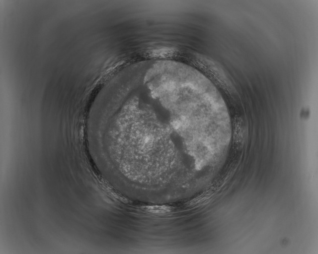 X0000097600363200803280956