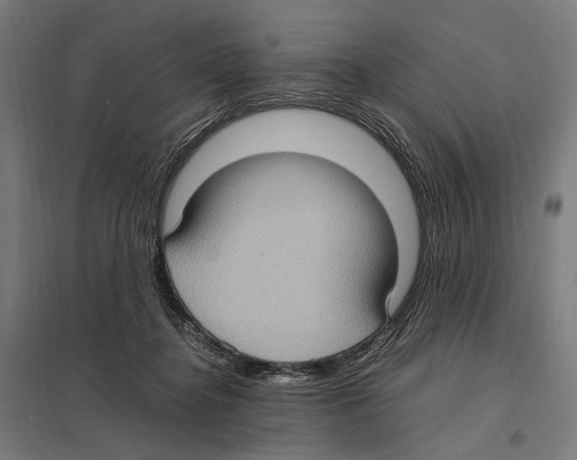 X0000097600364200803280956