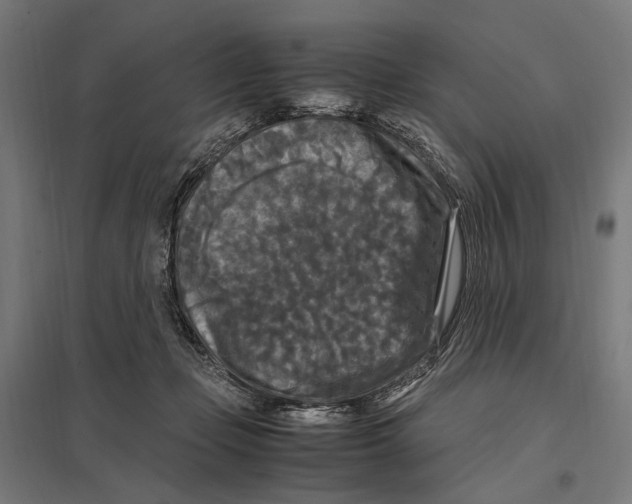 X0000097600365200803280956