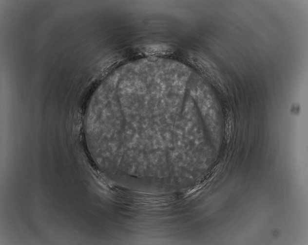 X0000097600367200803280956