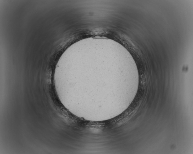 X0000097600368200803280956