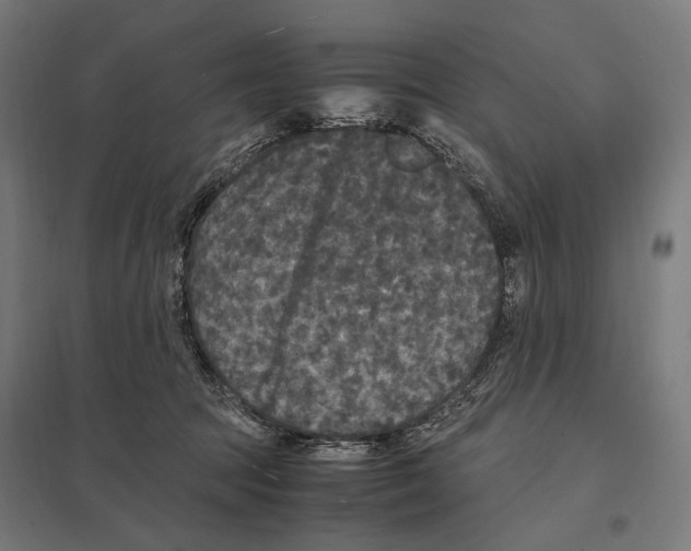 X0000097600369200803280956