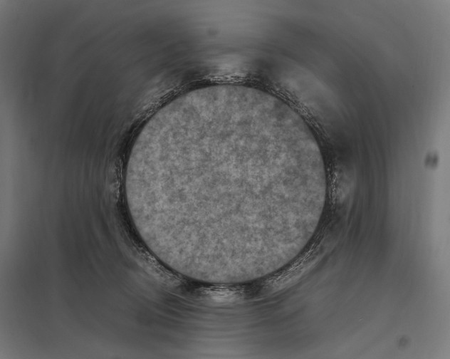 X0000097600370200803280956