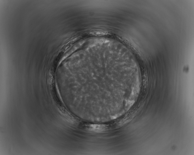 X0000097600371200803280956