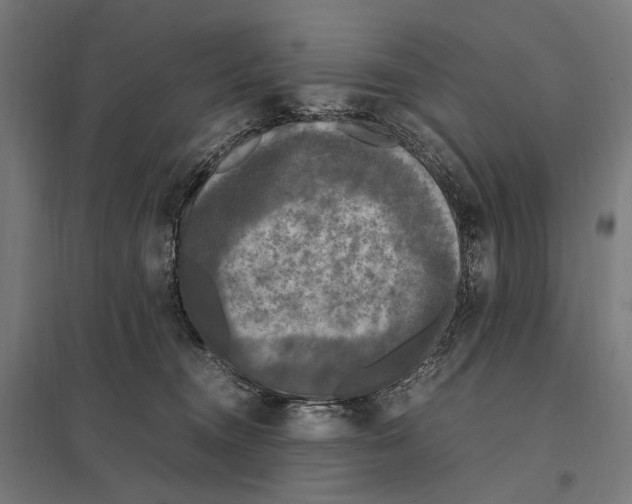 X0000097600372200803280956