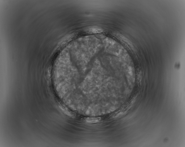 X0000097600373200803280956