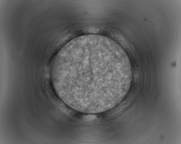 X0000097600374200803280956