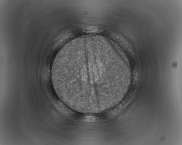 X0000097600376200803280956