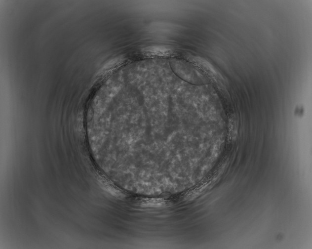 X0000097600377200803280956