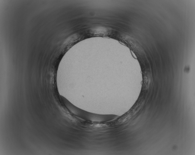 X0000097600379200803280956