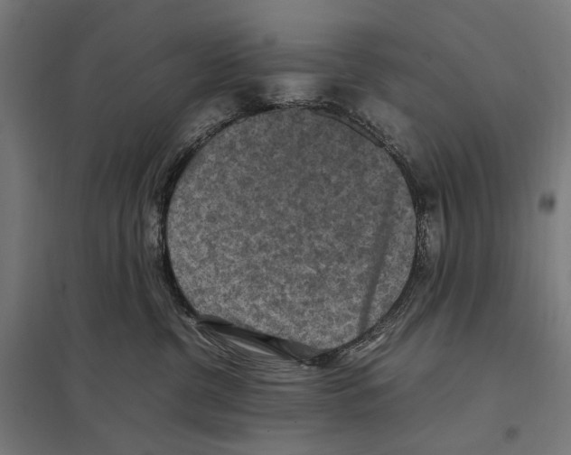 X0000097600380200803280956