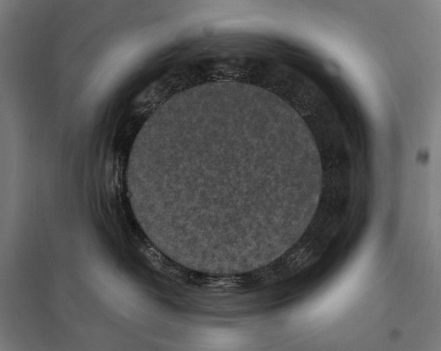 X0000097600382200803280956