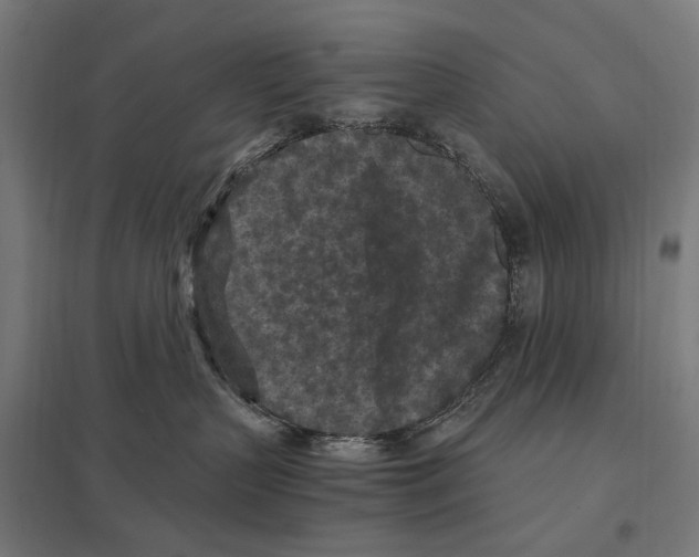 X0000097600383200803280957