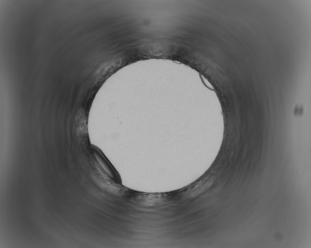 X0000097600384200803280957