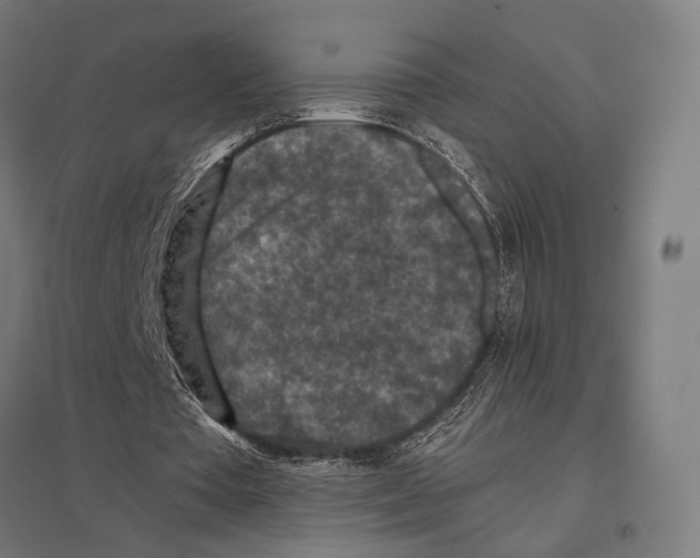 X0000097600385200803280956