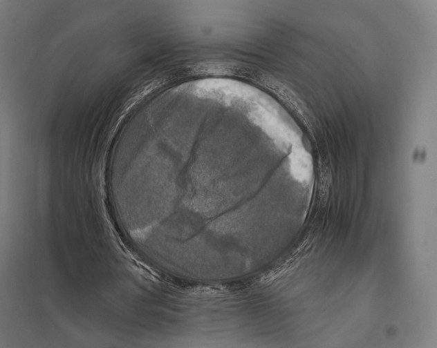 X0000097600386200803280956