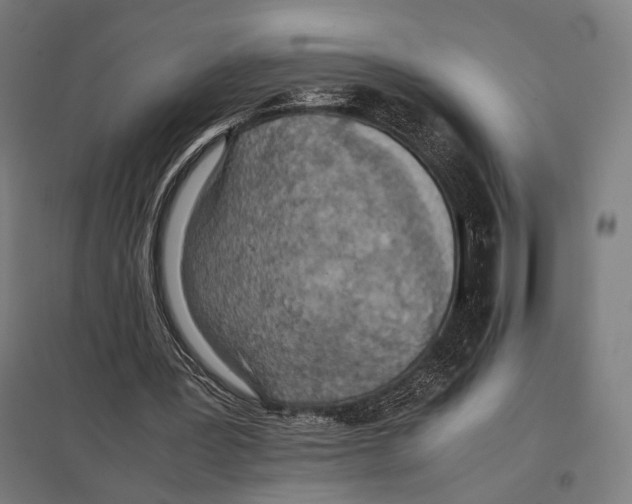 X0000097600387200803280956