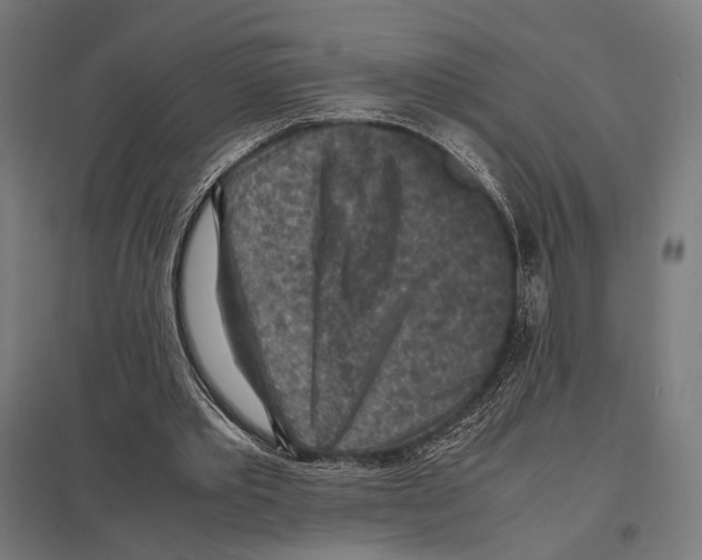 X0000097600389200803280956