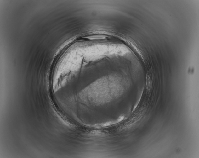 X0000097600390200803280956