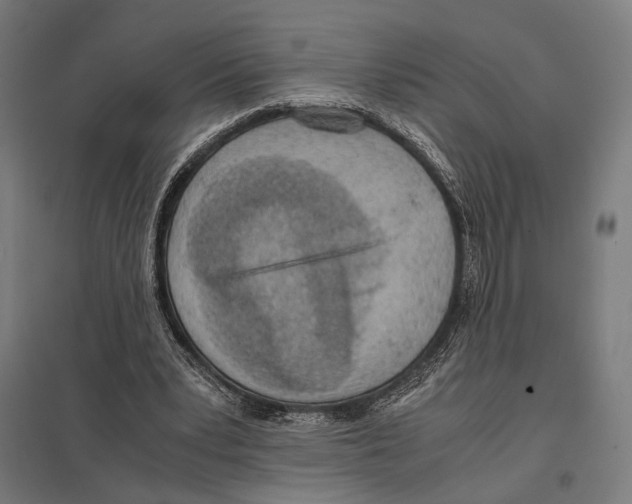 X0000097600391200803280956