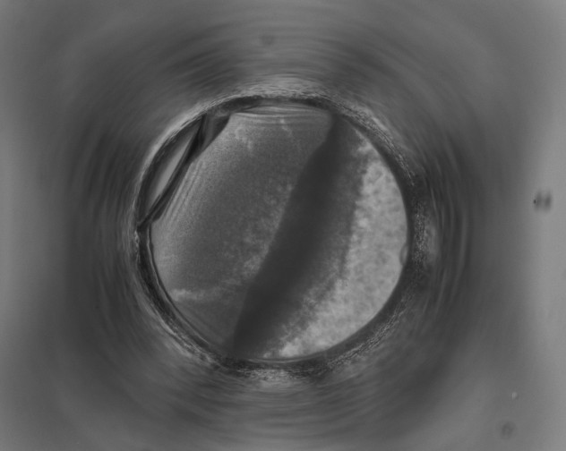 X0000097600392200803280956