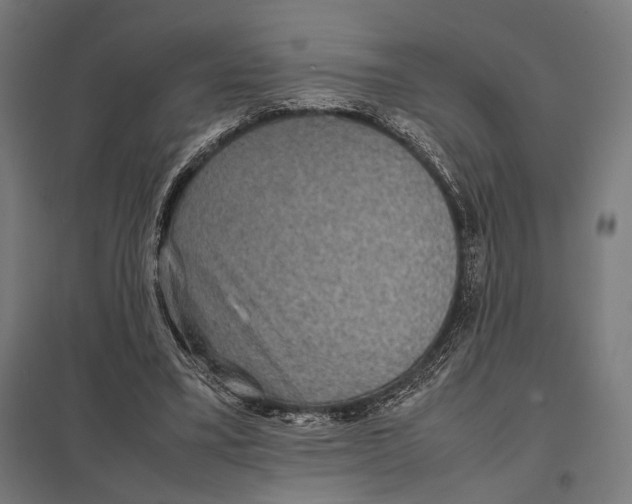 X0000097600395200803280956