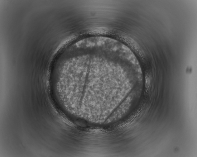 X0000097600396200803280956