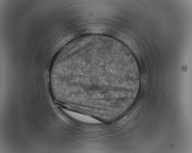 X0000097600397200803280956