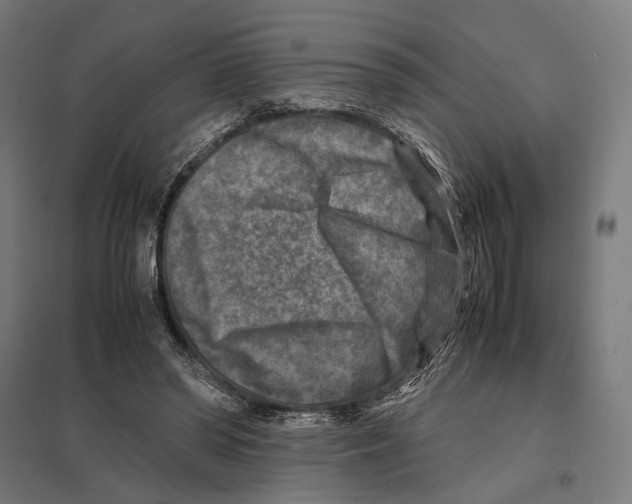 X0000097600398200803280955