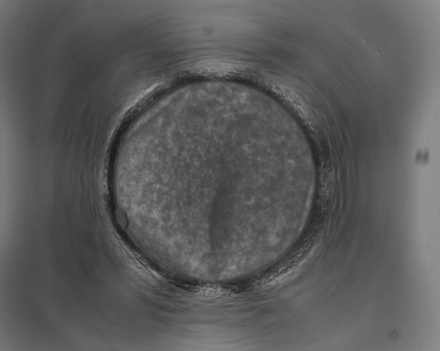 X0000097600399200803280955