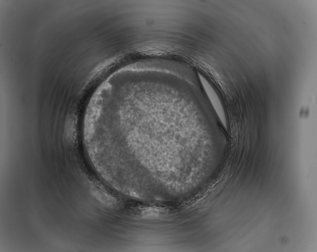 X0000097600400200803280955