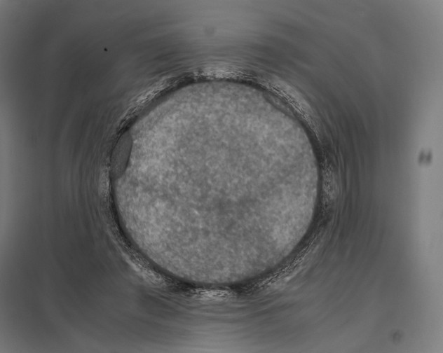 X0000097600401200803280955