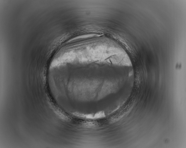 X0000097600402200803280955