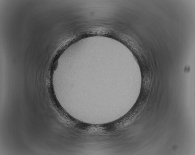 X0000097600403200803280955