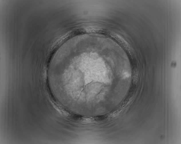 X0000097600405200803280955