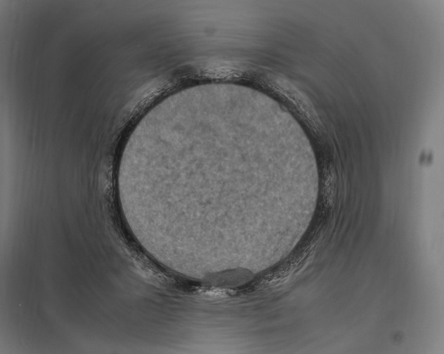 X0000097600407200803280955