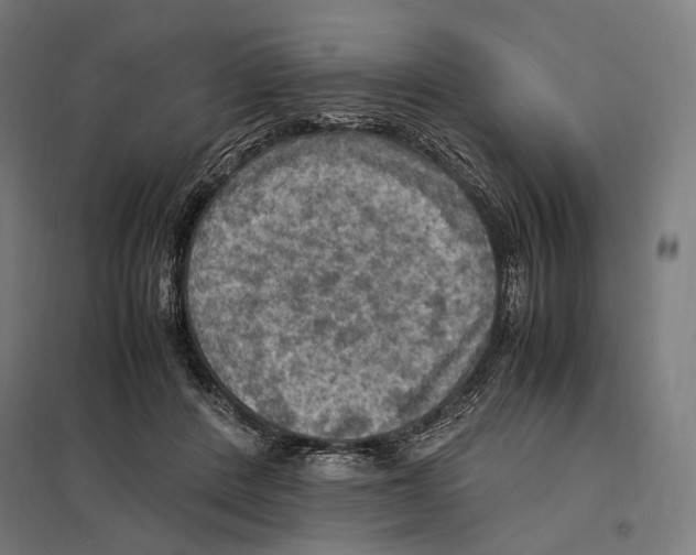 X0000097600408200803280955