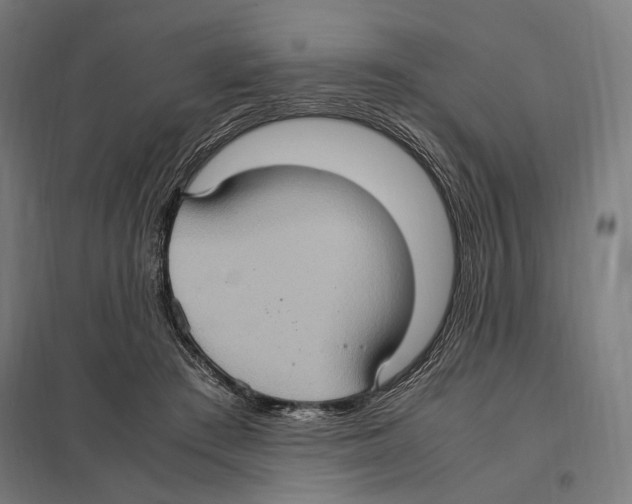 X0000097600409200803280955