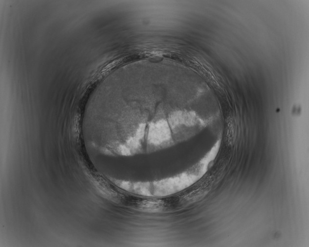 X0000097600410200803280955