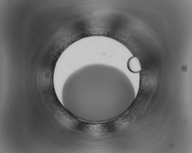 X0000097600411200803280955