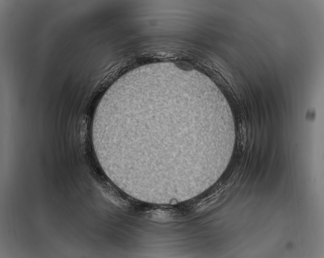 X0000097600412200803280955