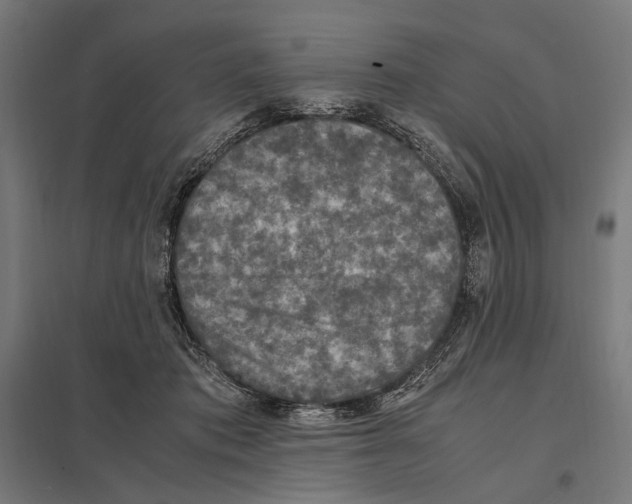 X0000097600413200803280955