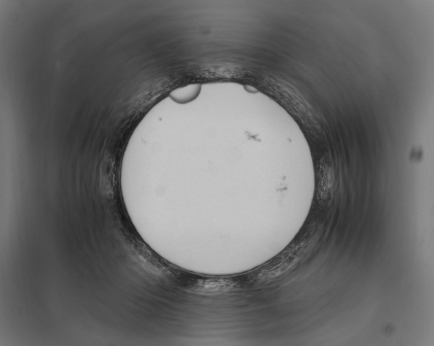 X0000097600414200803280955