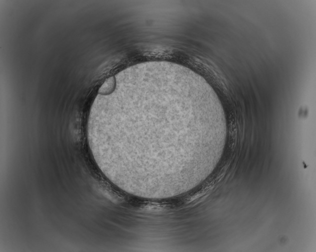 X0000097600416200803280955