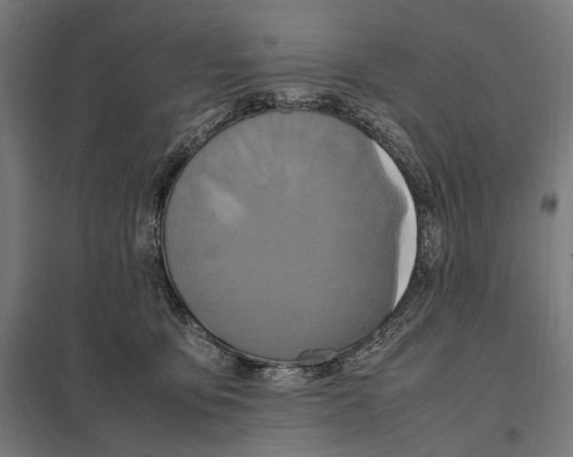 X0000097600419200803280955