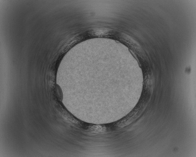 X0000097600421200803280955