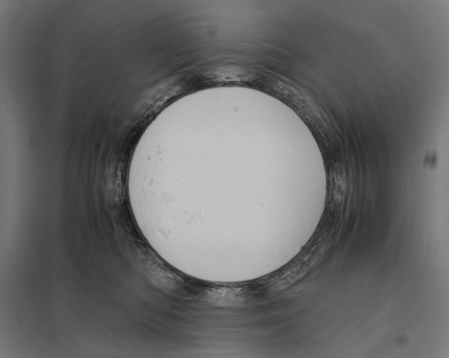 X0000097600422200803280955